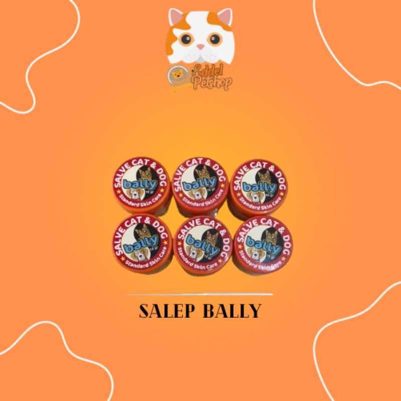 SALEP BALLY OBAT JAMUR LUKA IRITASI PADA KULIT KUCING