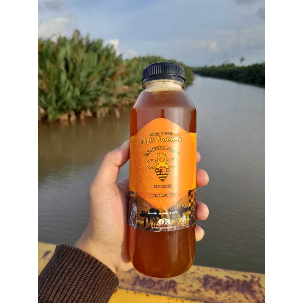 

Madu Hutan Lebah Liar 500ML | Makassar