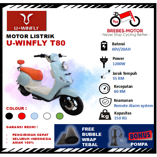 Motor Listrik U-winfly T80