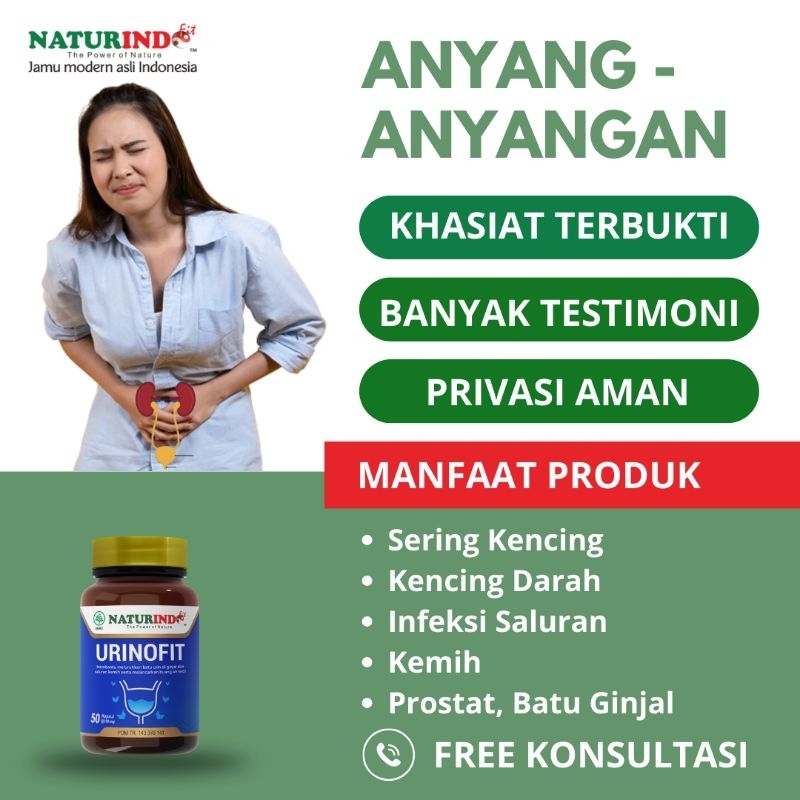 Obat Batu Ginjal Infeksi Saluran Kencing Kemih Ngompol Beser Batu Empedu Urinofit