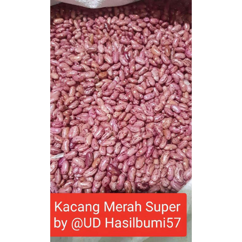 

Kacang merah 1kg/ Kidney bean