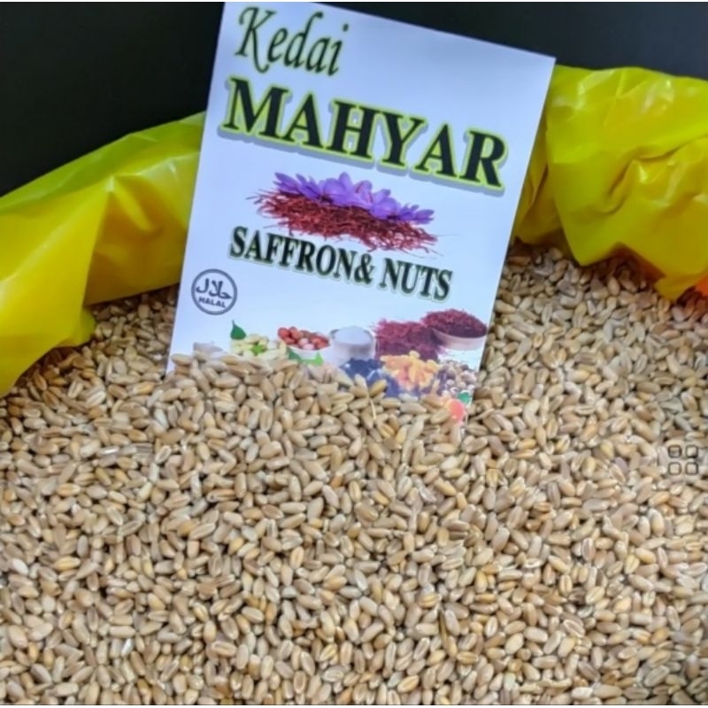 

Biji gandum import 500gr