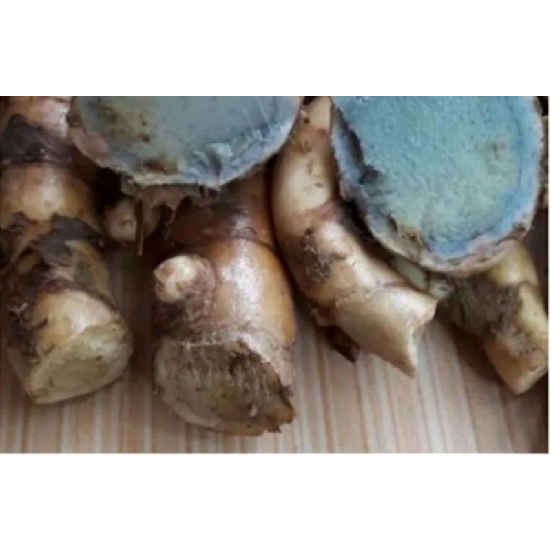 

TEMU IRENG 1KG