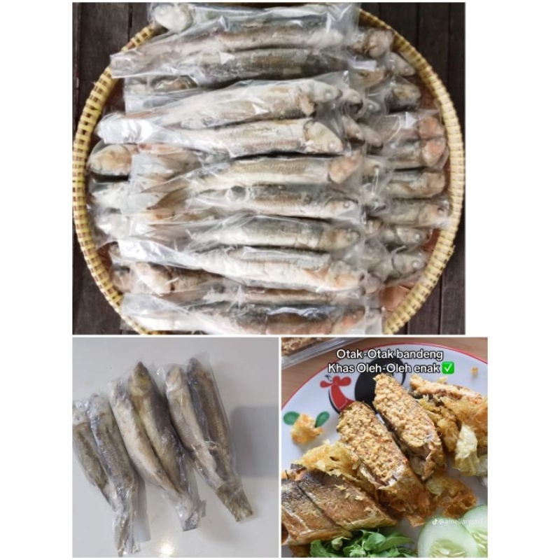 

OTAK-OTAK BANDENG ISI 2