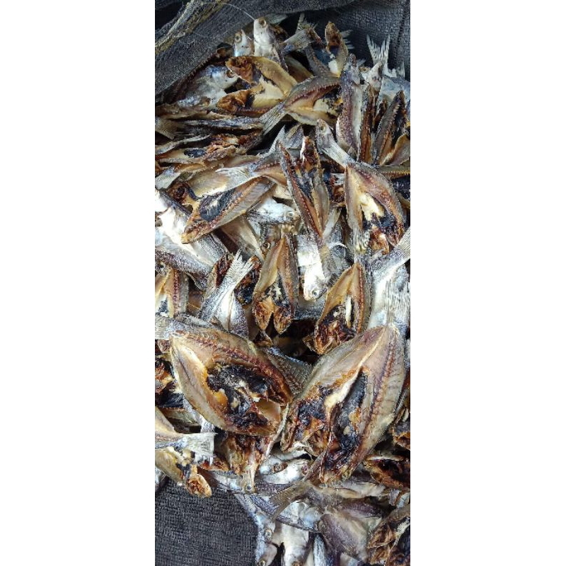 

IKAN ASIN (BULANAK) SEGAR/KILO