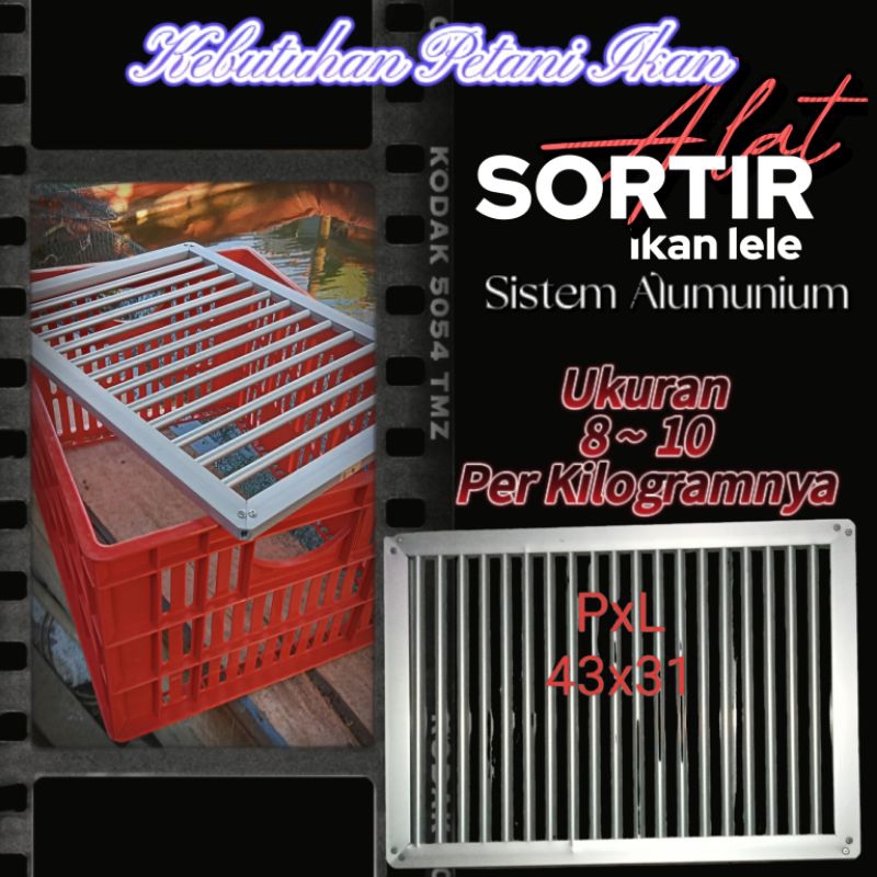 Ayakan ikan lele. sortir ikan lele 1 kg isi 10 ( sistem terbaru)