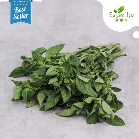 

Daun Kemangi -/+ 250 Gram / Pack Fresh Basil Leave Sayur Hijau Segar