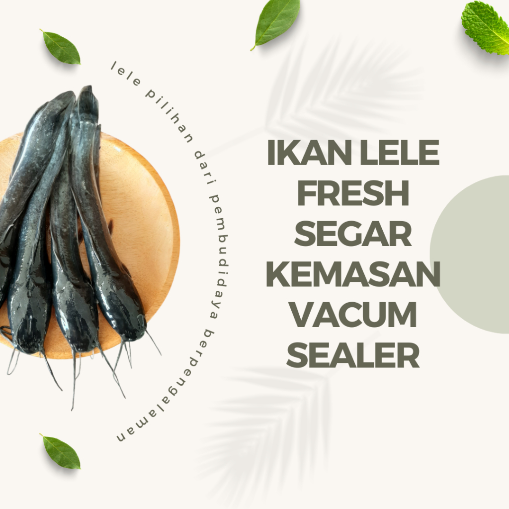 

ikan lele fresh segar 1 kg