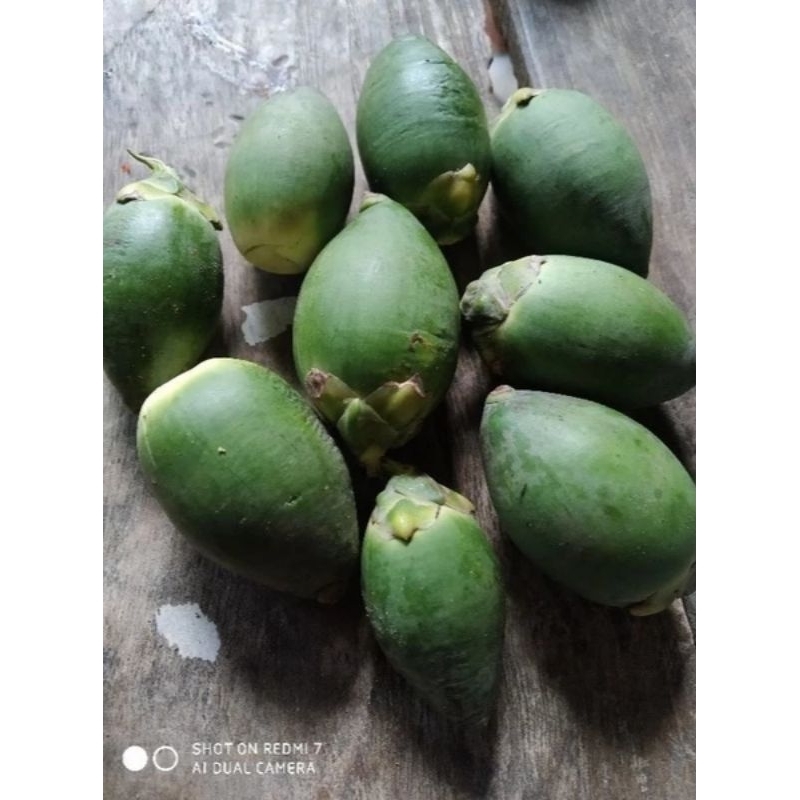 

BUAH JAMBE MUDA FREES 250G