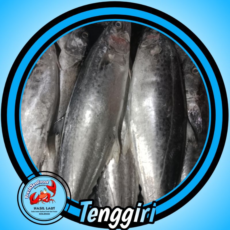 IKAN TENGGIRI SEGAR 1kg