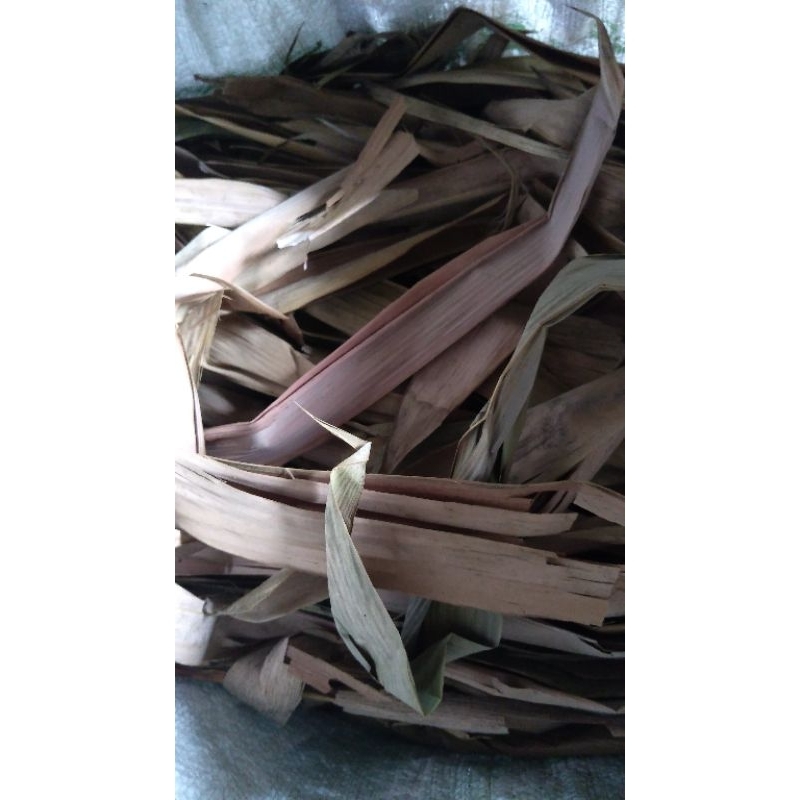daun bambu kering