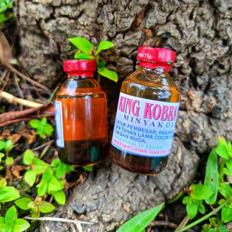 Minyak Oles Kobra Cobra Kalimantan,Minyak Kalimantan