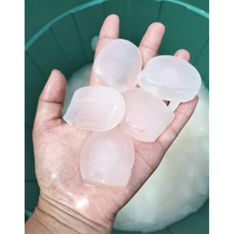 

Kolang Kaling Medan Super Organik|Cengkaleng - Gudangbuahnusantara