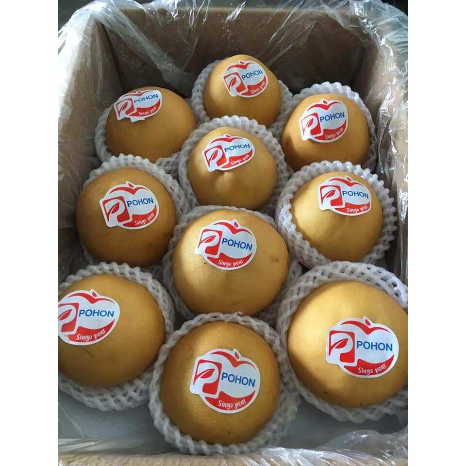 

Pear Singo berat +-300 Gram