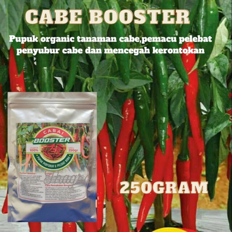 Pupuk Booster Pelebat Tanaman Cabe / Pelebat Penyubur Tanaman Cabe / Atasi Kerontokan Pada Cabe