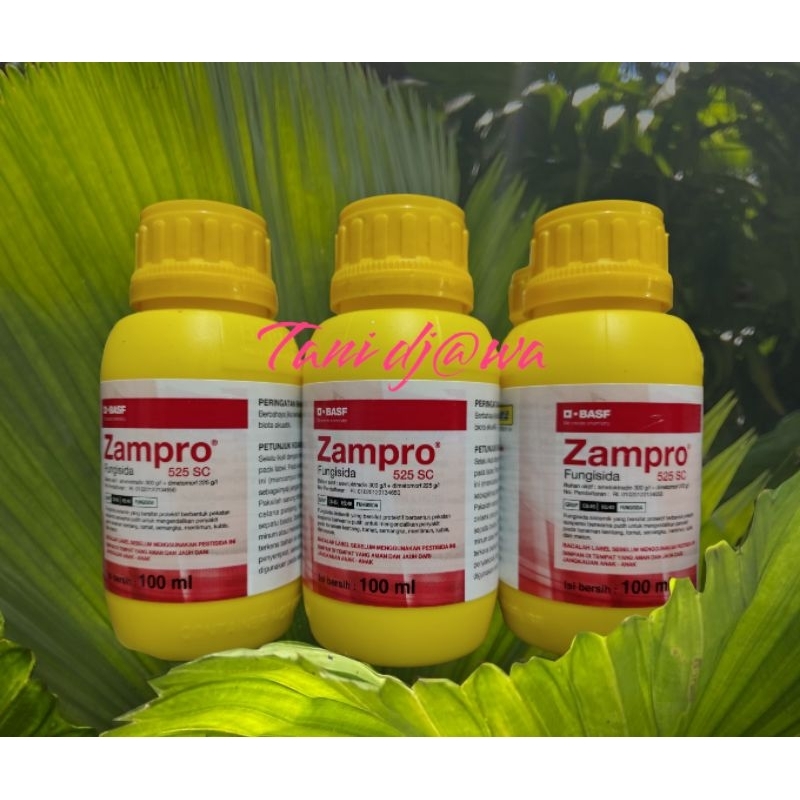 FUNGISIDA ZAMPRO 525 SC 100 ml