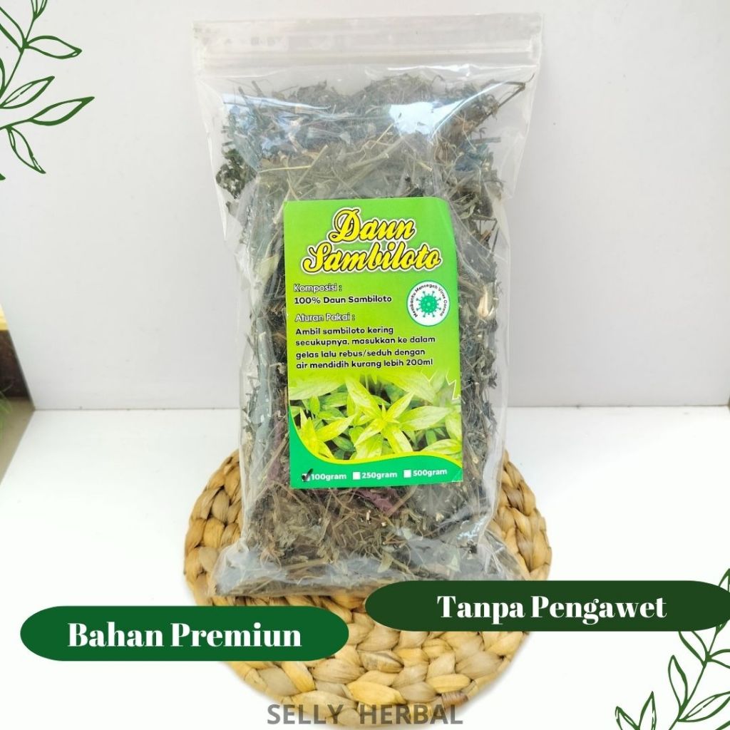 

DAUN SAMBILOTO KERING