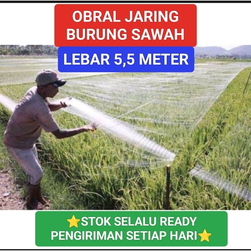 Jaring Burung kecil Jaring Burung pipit Jaring Burung emprit Jaring Burung Sawah  Jaring Padi