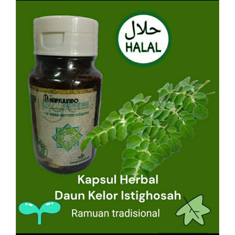 kapsul daun kelor original