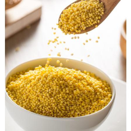 

散装小米100克装 Millet 100gram