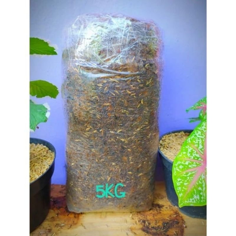 media tanam siap pakai kemasan 5kg