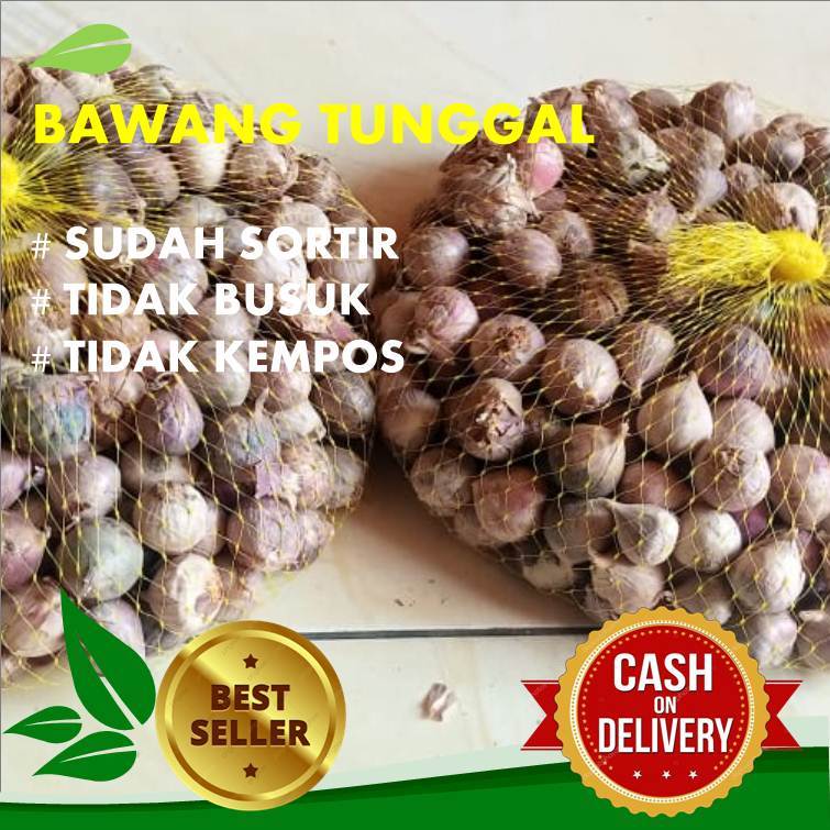 Bawang Lanang