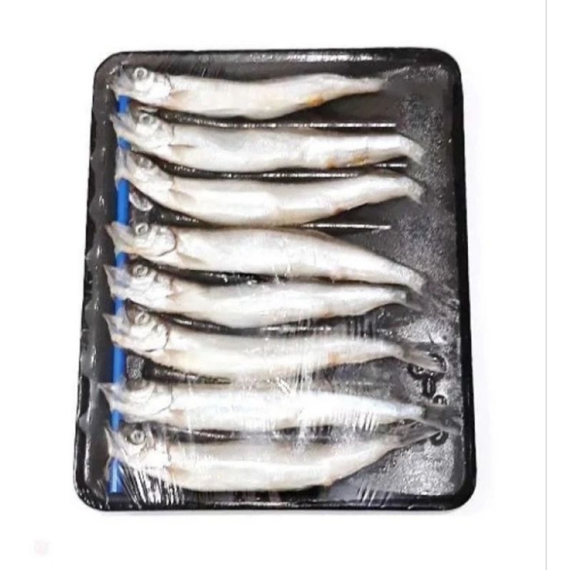 Ikan Shisamo Frozen