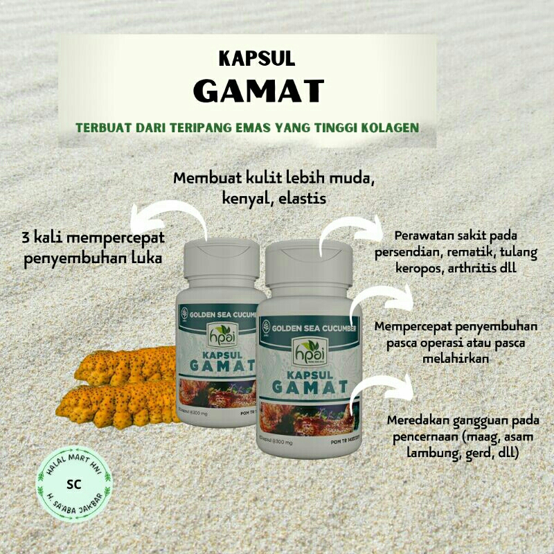 Gamat Kapsul Teripang Emas