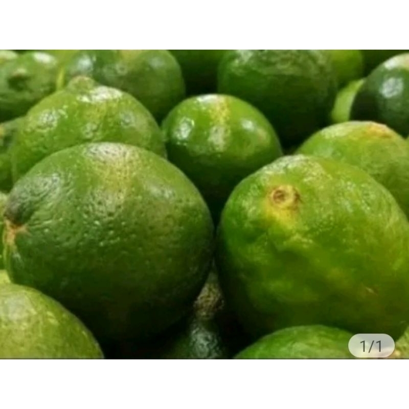 

Jeruk nipis 500 gram