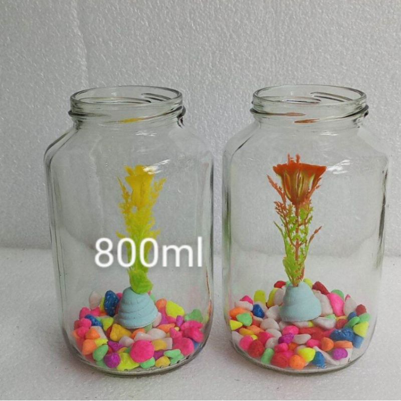 Toples cupang 2pcs botol ikan cupang 800ml Toples cupang satu paket batu Aquarium warna tanaman akua