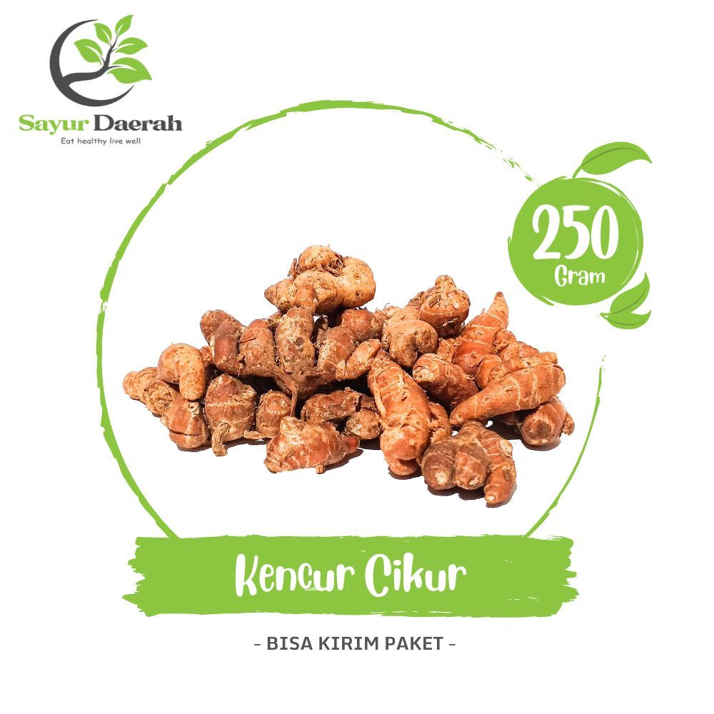 

Kencur Cikur 250 Gr | Sayur Daerah