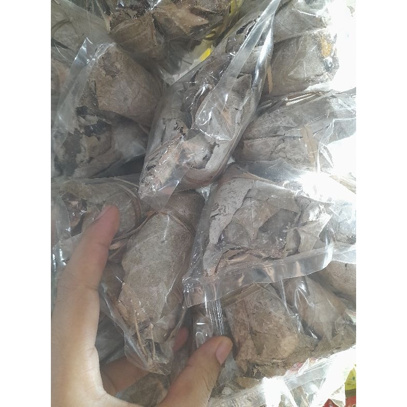 

Daun Gambir perbungkus