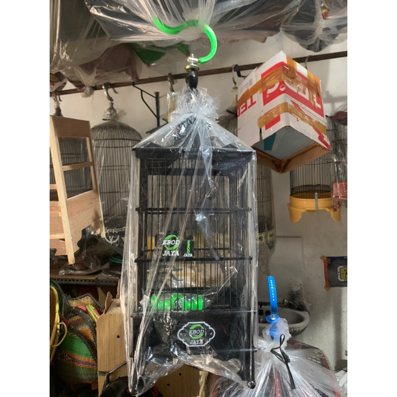 SANGKAR KANDANG PLECI BURCIL EBOD JAYA