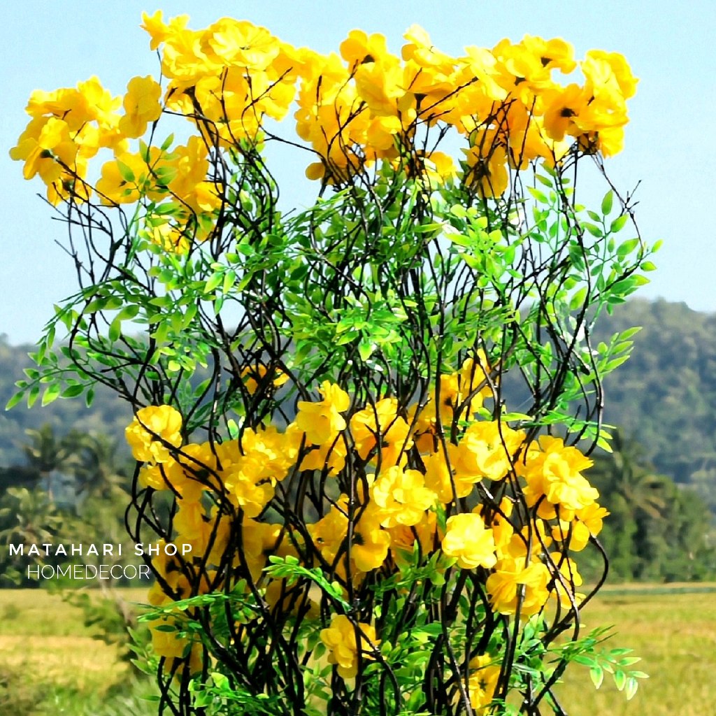 Hiasan Rumah Vintage 25 Btg Bambu Ulir Hitam Anyelir Kuning 170cm (Tanpa Pot)