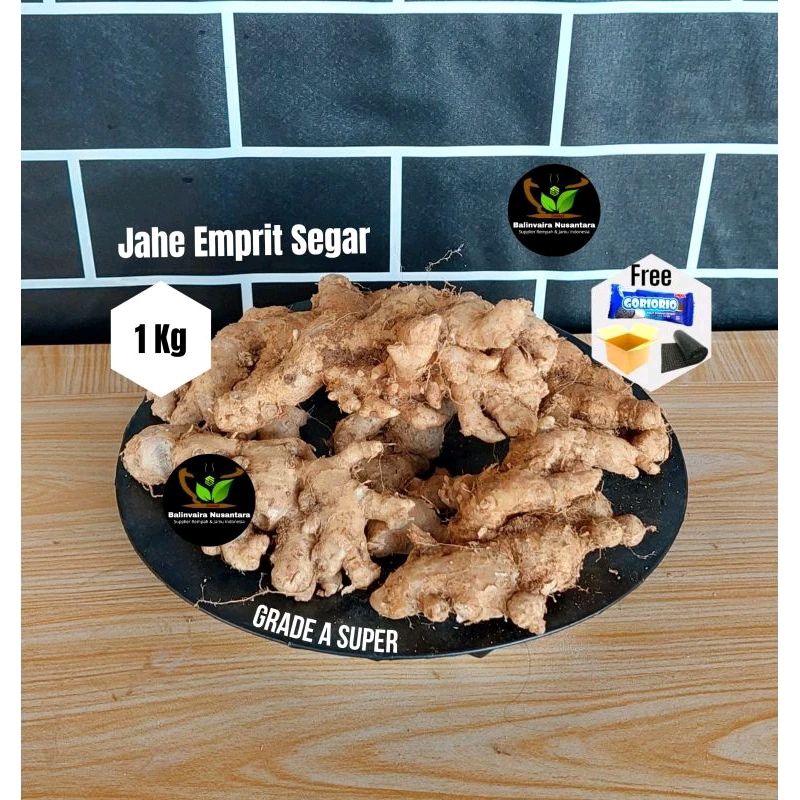 

Jahe Emprit Segar Pedas Lokal Grade A Kg