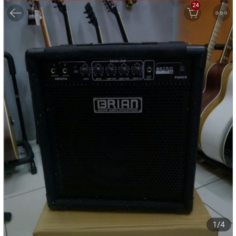 BRIAN ampli gitar &amp; Bass 10 inch 2 input