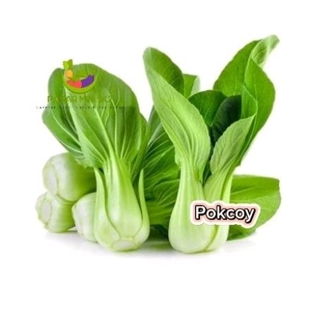 

pokcoy 250gr