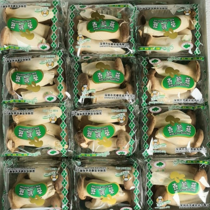 

Jamur King Oyster China (Pack)