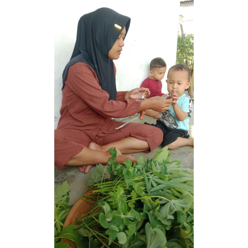 

sayuran