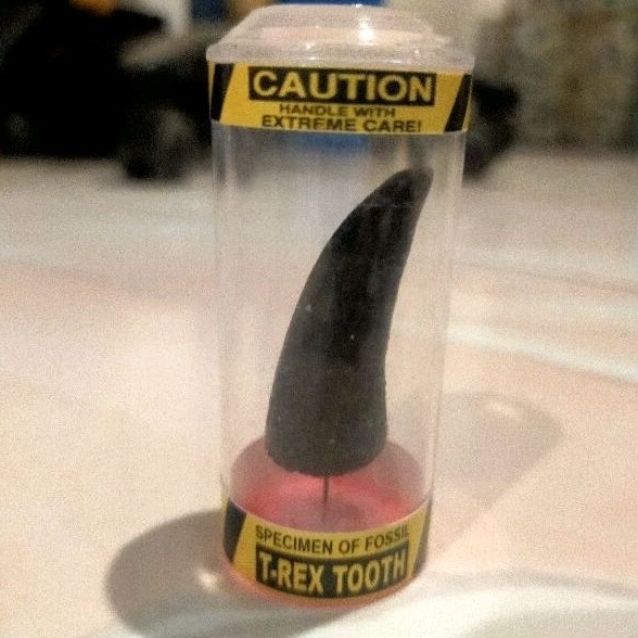 Fosil gigi T-Rex Tooth (Polymer Clay)