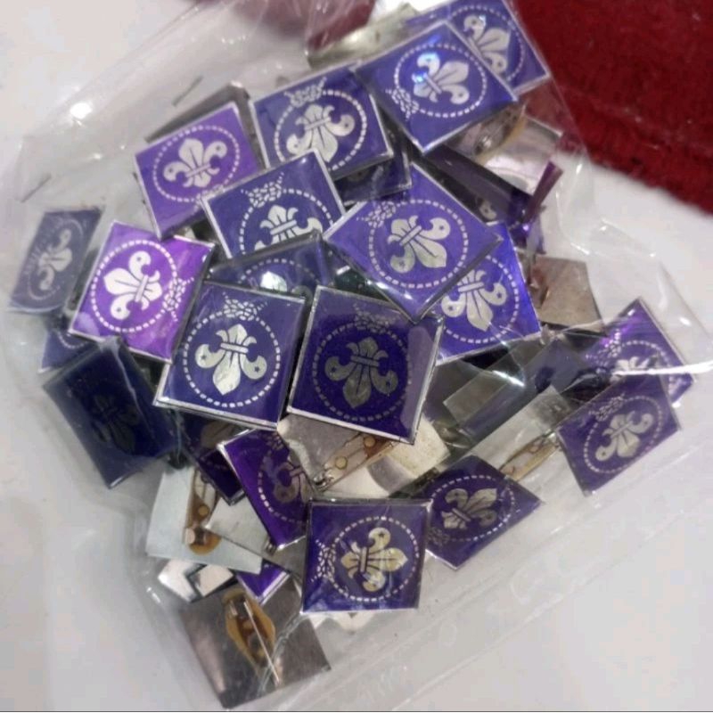 Pin Kitri Wosm / Pandu Dunia Kotak Pin Bros Kitri Wosm Putra Lapis Resin Bijian