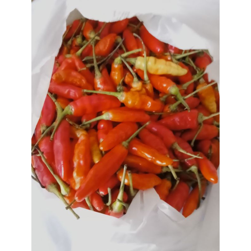 

Cabai rawit merah fresh