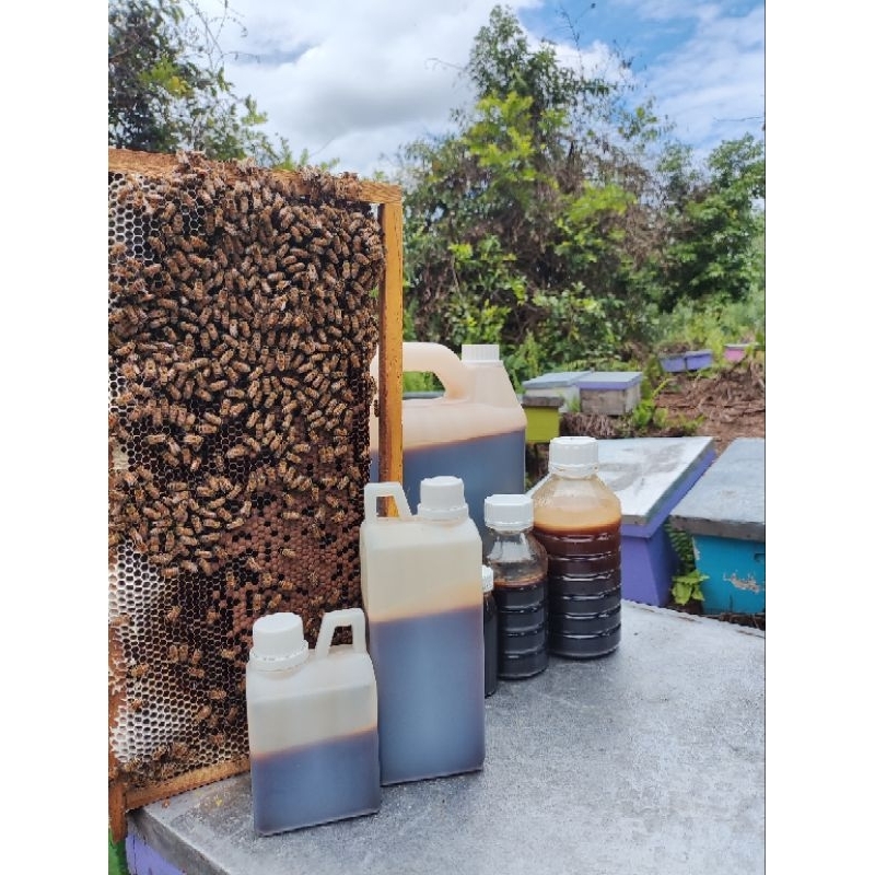 

Madu Akasia Crasicarpa ( Grade A) 500gram