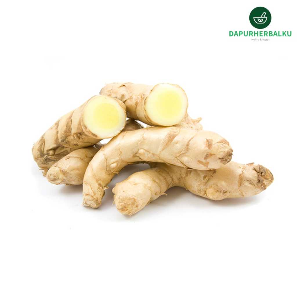 

Kunyit Putih Segar 500 gram DAPURHERBALKU