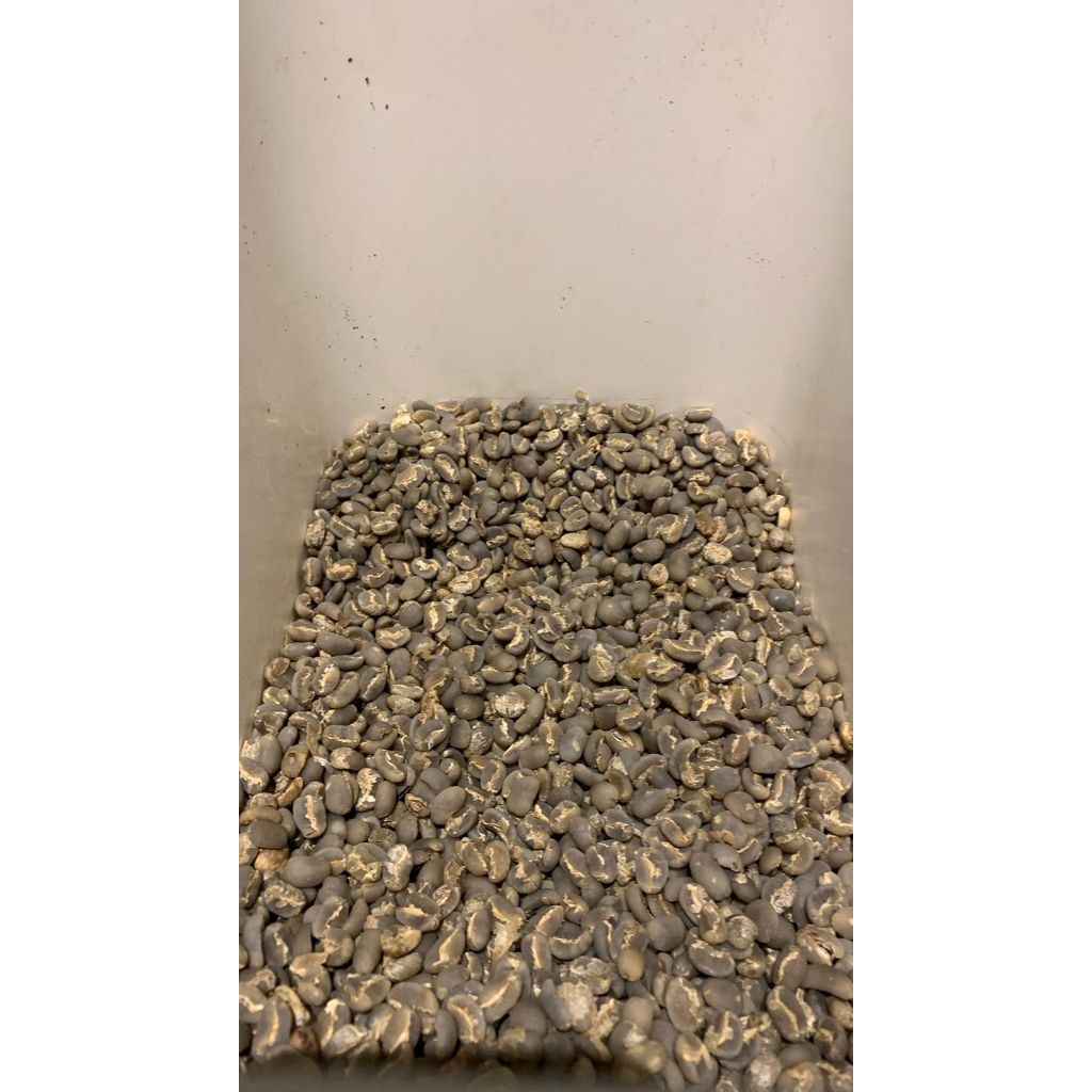 

Green Bean Arabica Gayo Wash (1kg) Biji Kopi Mentah Arabica Gayo