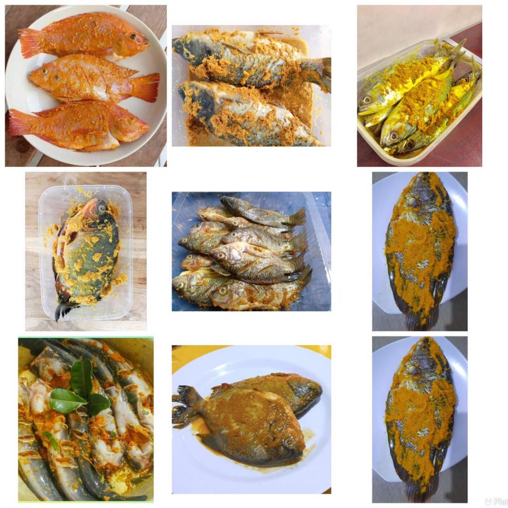 

aneka ikan marinasi bumbu kuning 500gr / ikan lele bumbu kuning / ikan mas bumbu kuning / ikan nila bumbu kuning / ikan kembung bumbu kuning / ikan bawal bumbu kuning / ikan gurame bumbu kuning
