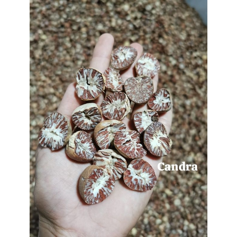 

Pinang Kering 500gr