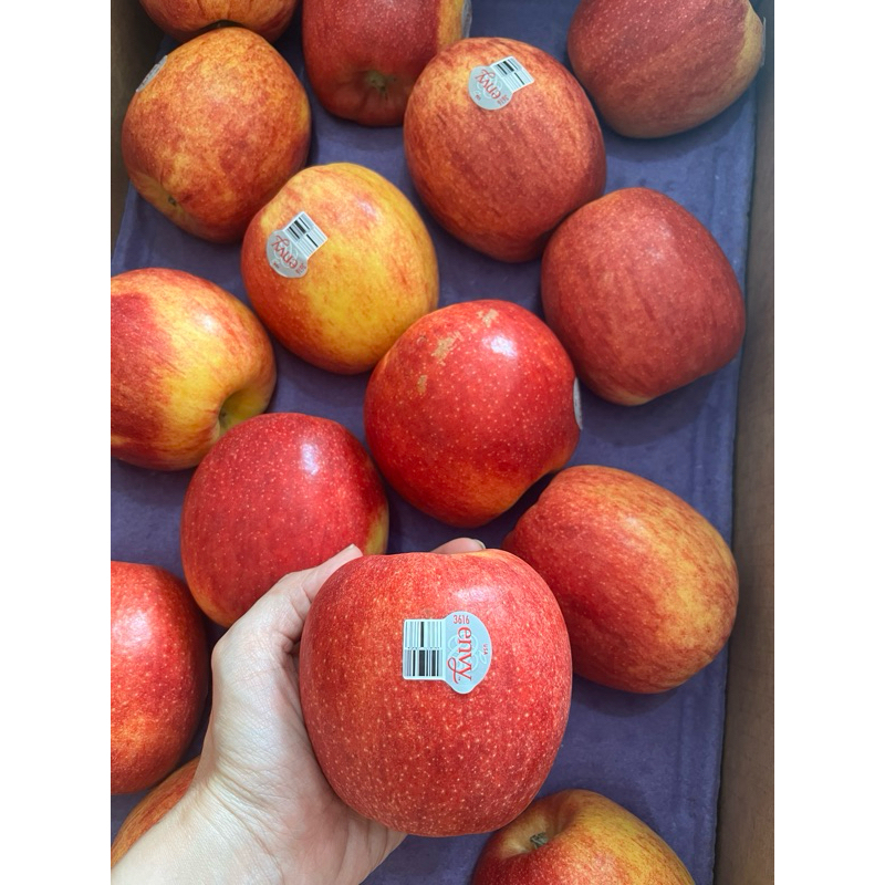 

Buah Apel ENVY New Zealand - USA Jumbo Premium Manis Fresh - 1 Kg