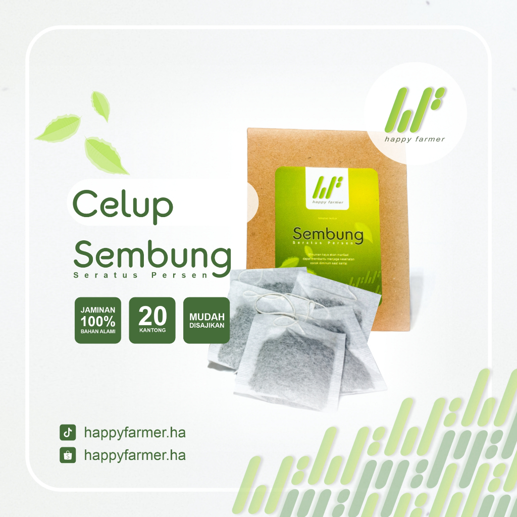 

Sembung Celup Teh Sembung kemasan tinggal Celup