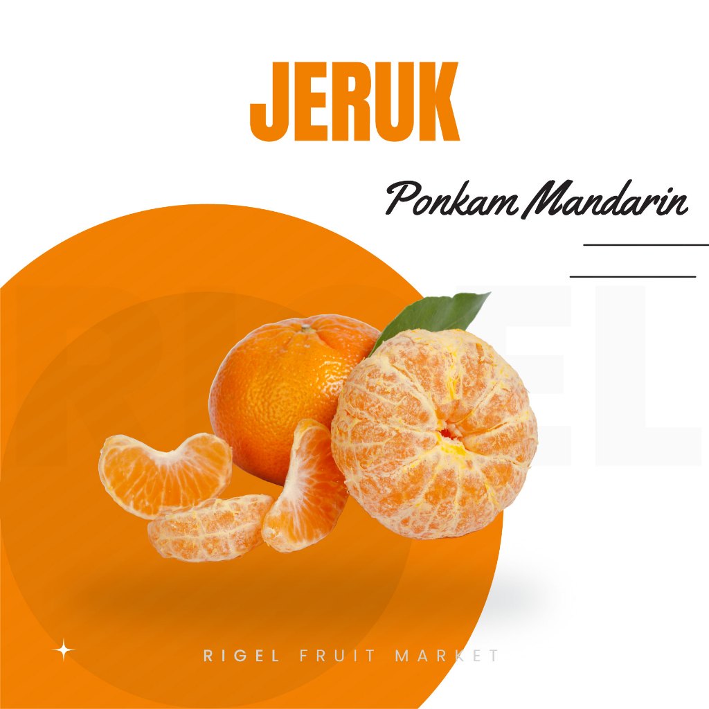 

Jeruk Ponkam Mandarin